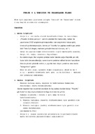 P4L222.pdf.jpg