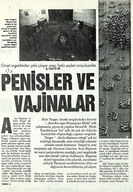 VK3IST961001.jpg.jpg