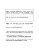 P4L229.pdf.jpg